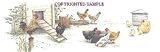 Chickens - Drawing by Cindy Farmer