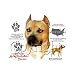 Staffordshire Bull Terrier - Cats and Dogs Premium T-Shirt