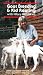 Goat Breeding & Kid Rearing