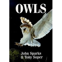 Owls