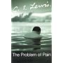 The Problem of Pain