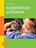 Katzenkinder aufziehen: Ein praktischer Ratgeber fuer das erste Lebensjahr