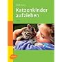 Katzenkinder aufziehen: Ein praktischer Ratgeber für das erste Lebensjahr