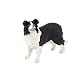 Papo Border Collie_s-1