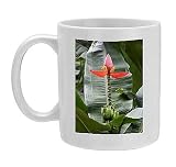 Photo Mugs of Tropical vegetation in Jardines del Malecon, Guayaquil waterfront from Lonely Planet Images