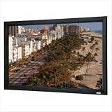 Da-Lite 115 Diagonal Cinemascope Format Home Theater Fixed Frame Screen with Pearlescent Fabric and Pro-Trim