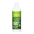 Biokleen All Purpose Cleaner, 32-Ounce Bottles (Case of 12)