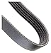 5/5VX500 Banded Cogged V-Belt, Outside Length 50"