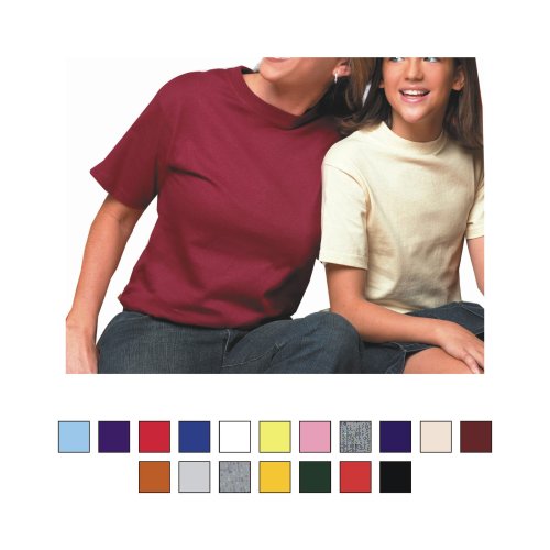 Jerzees Heavyweight Cotton T-Shirt (363M)