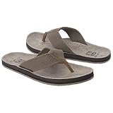 Ocean Minded Men's Scorpion