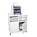 Mobile Stand w/Sorter, Two-Door Cabinet, 28w x 19-7/8d x 30-1/2h, Gray