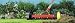 WOLF-Garten multi-change Roller Moss Removal Rake URM3
