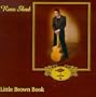 Little Brown Book