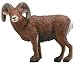 Big Horn Ram