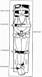 V-Body Straps
