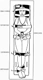 V-Body Straps