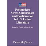 Postmodern Cross-Culturalism and Politicization in U.S. Latina Literature: From Ana Castillo to Julia Alvarez (Modern American Literature (New York, N.Y.), V. 42.) book cover