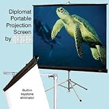 Draper 213004 Draper Screen 84X84 Tripod
