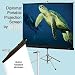 Draper 213004 Draper Screen 84"X84" Tripod