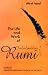 Books : The Life and Work of Jalaluddin Rumi