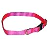 Sandia Pet Products Neon Pink Cat Safety Collar - Adjustable 8 to 12 inch