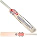 Gray-Nicolls Lazer Destroyer Kashmir Willow Cricket Bat