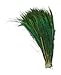 KAYSO 100 Piece Peacock Swords Natural Feathers, 10 to 14