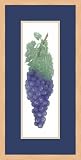 Fruits Of Labor by Barbie Tidwell - Framed Artwork
