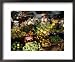 Fruit and Vegetable Market, Ban Don, Thailand Styles Framed Art Poster Print by Richard Nebesky, 22x18