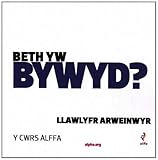 Beth yw bywyd? : llawlyfr arweinwyr : y Cwrs Alffa