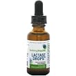 Lactase Drops 15 ml - Lactase Enzyme Supplement - 76 Servings - Safe for Infants