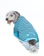 Fashion Pet Blue STRIPED PJS, Medium