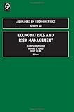 Econometrics and risk management
