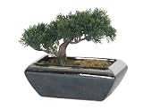 Artificial Mini Cedar Bonsai, Black & Silver