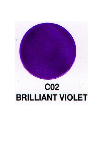 Verity Nail Polish Brilliant Violet C02