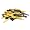 Michigan Wolverines