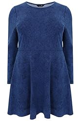 Plus Size Denim Long Sleeves Skater Dress 