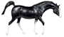 Arabian Stallion - Black�