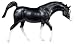 Search : Arabian Stallion - Black 