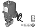 Ball Valve