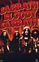(24x36) Black Sabbath (Sabbath Bloody Sabbath) Music Poster Print