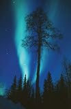 Northern Lights Magnificence by Travel Ink Photo Library poster print,27 in. x 40 in.