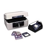 Sentry Fireproof Media Safe- Gray