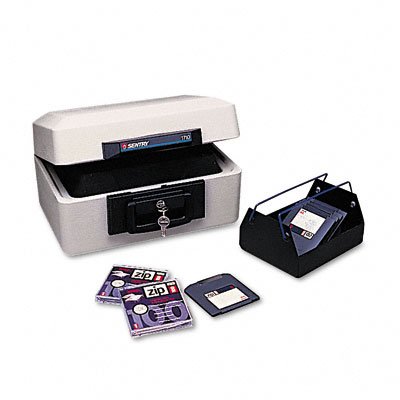 Fire Safe Media Chest for CD, DVD, Disks - Sentry Safe - 1710