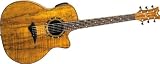 Dean Exotica Acoustic-Electric Guitar, Spaulted Maple