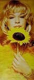 LeAnn Rimes - Vintage Sunflower Poster