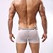 Dominik Men's Sheer Mesh See-Through Boxer Trunks