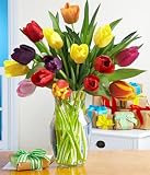 Make a Wish Multi-Colored Tulips