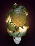 Sea Turtles Night Light Ibis and Orchid Design