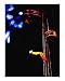 Bassic Feeling Emerging Artists Giclee Poster Print by Richard Duval, 16x20